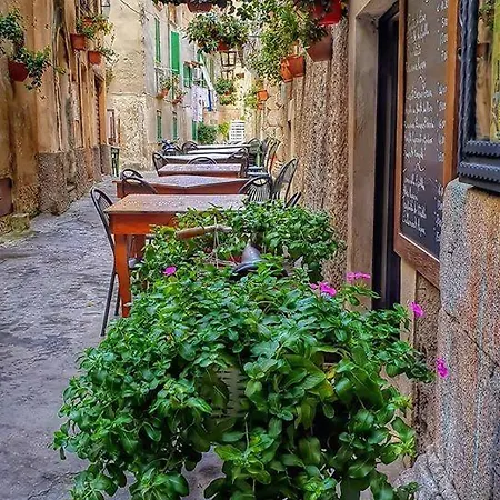 Cavaliere S A Tropea