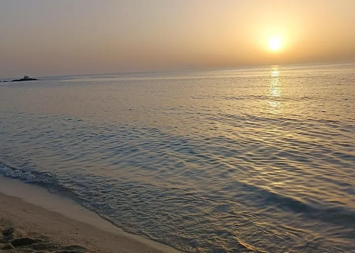 Cavaliere S A טרופאה